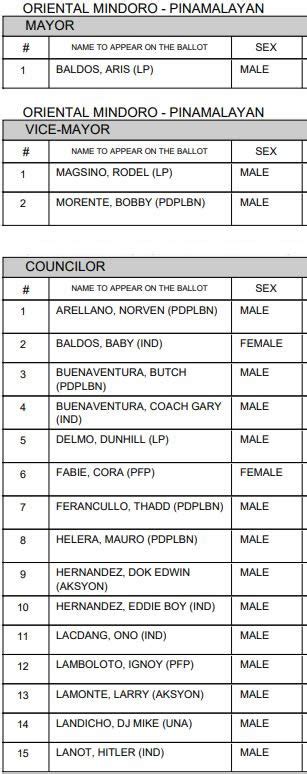 list of mayors in oriental mindoro|Pinamalayan Councilors, Mayor, Vice Mayor .